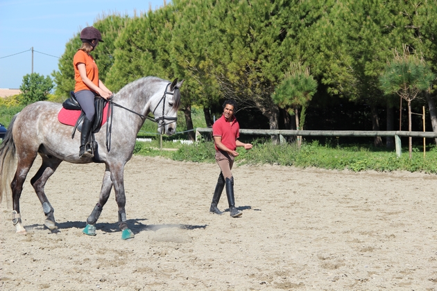 Stage dressage juin et aout_intérieur article