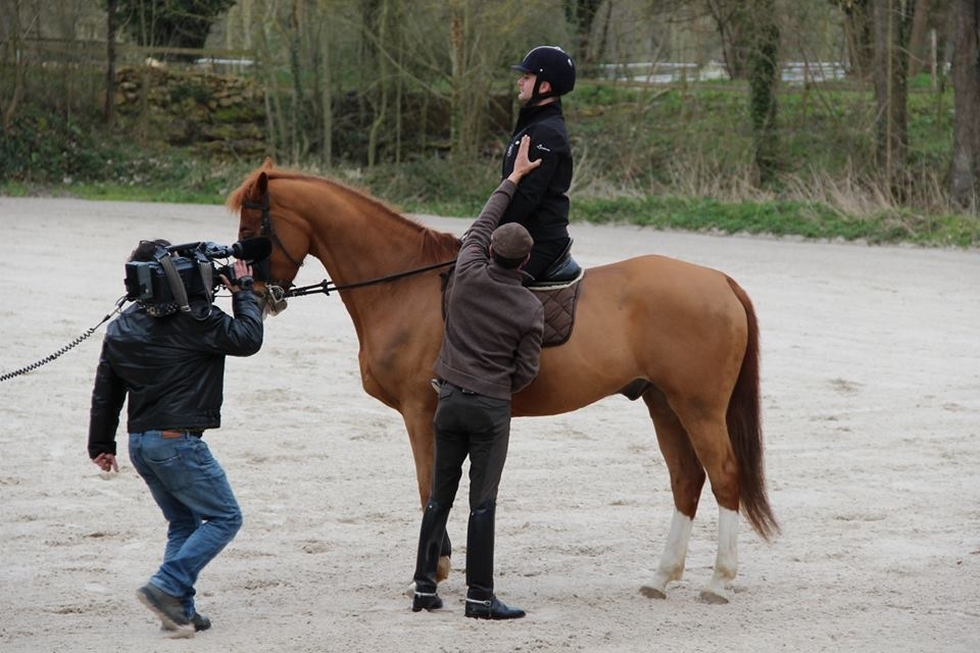 Un cavalier dresseur professionnel à votre écoute