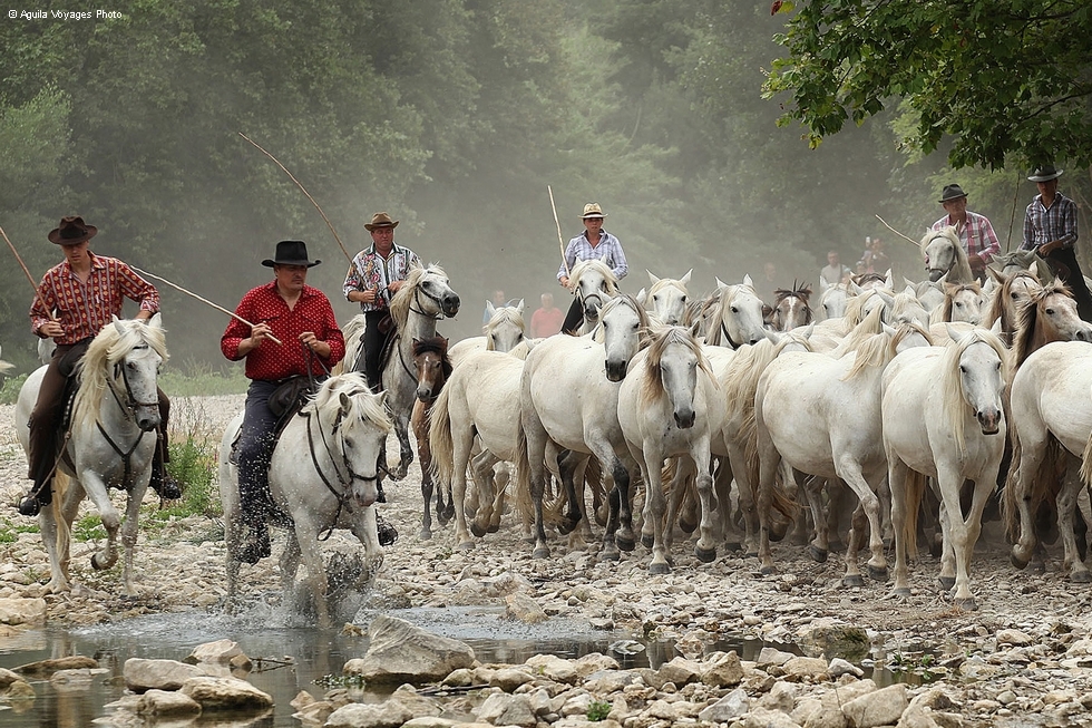 Vos vacances au pays des traditions équestres